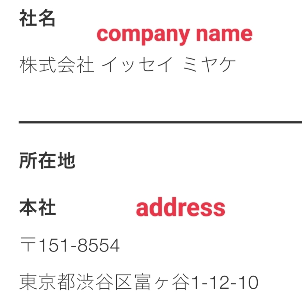 FYI DO NOT purchase counterfeit Bao Bao Issey Miyake - Picture 2 of 12